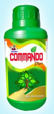 Commando